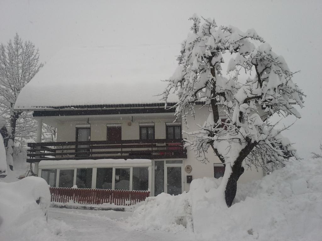 Guest House Znidar ボーヒニ エクステリア 写真