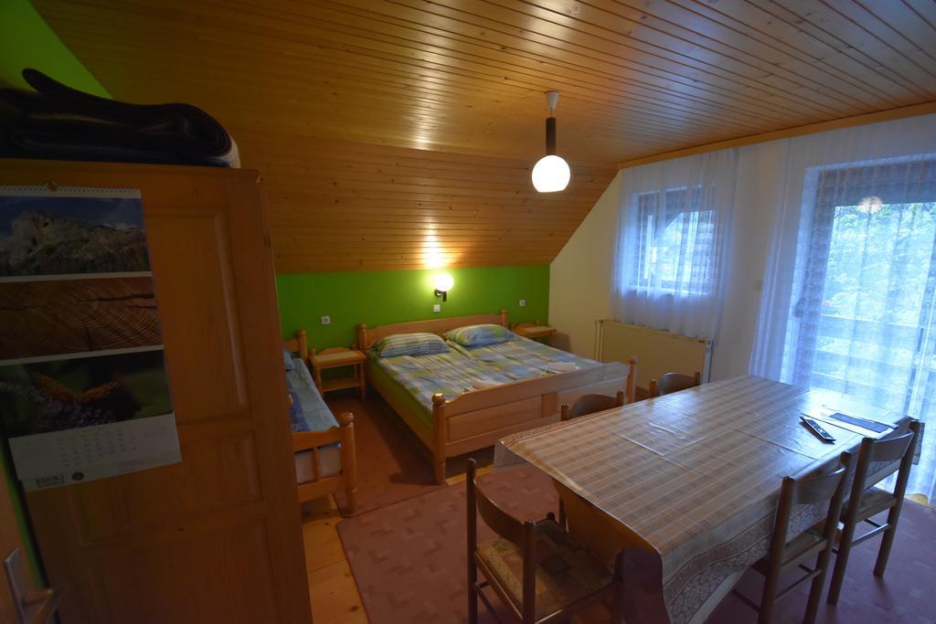 Guest House Znidar ボーヒニ エクステリア 写真